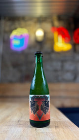 Solar Tomb - 5.3% Golden Sour - Holy Goat Brewing - 375ml Bottle